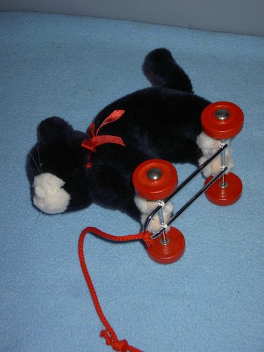 Alte katze auf - auf, roten