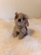 Selten Steiff Hund Molly  50er