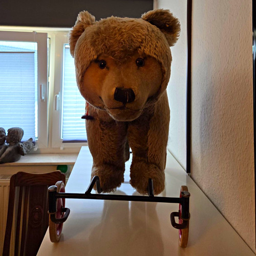 Großer plüschbär auf - großer,