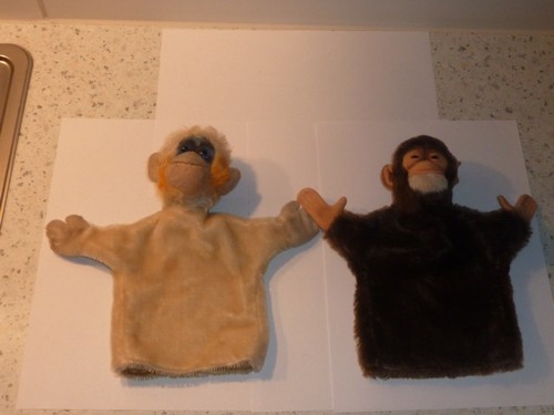 Alte steiff affen handpuppen - 2,