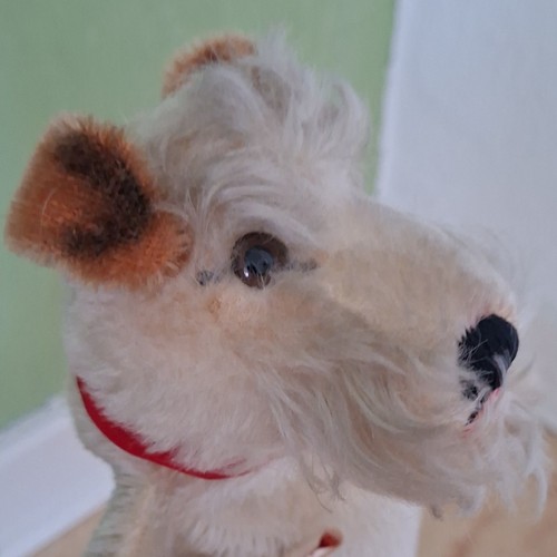 Steiff foxy foxterrier - „steiff,