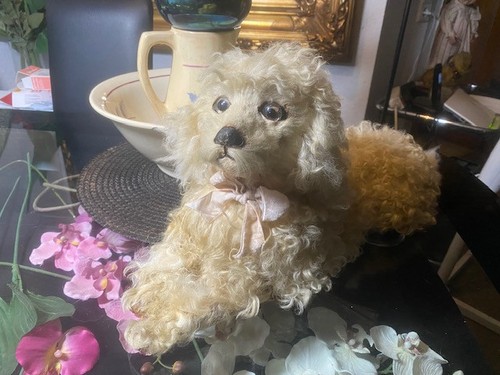 Französischer pyjama hund - französischer,