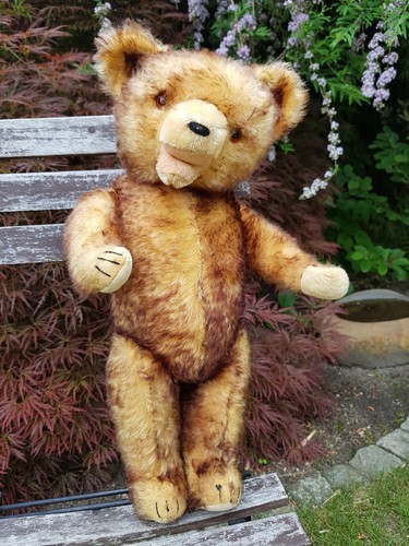 Sammler teddybär - sammler-teddybär, (auflösung)