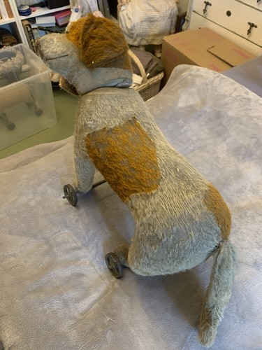 Alter steiff hund - steiff,