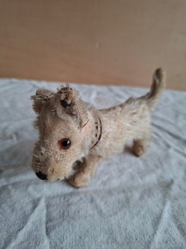 Antiker steiff sealyham 1930er - antiker,
