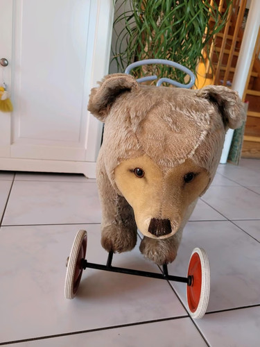 Original steiff teddy - original, bär