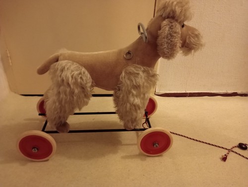Steiff pudel auf rädern - pudel,